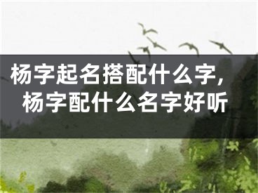 杨字起名搭配什么字,杨字配什么名字好听