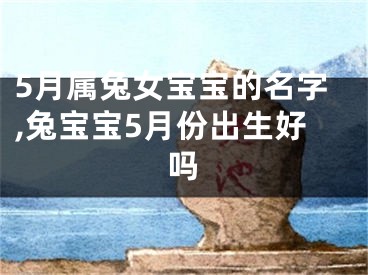 5月属兔女宝宝的名字,兔宝宝5月份出生好吗