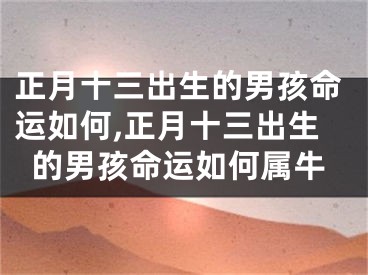 正月十三出生的男孩命运如何,正月十三出生的男孩命运如何属牛