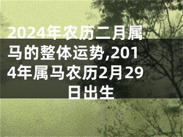 2024年农历二月属马的整体运势,2014年属马农历2月29日出生