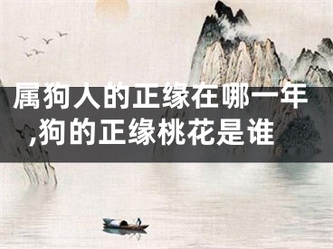 属狗人的正缘在哪一年,狗的正缘桃花是谁