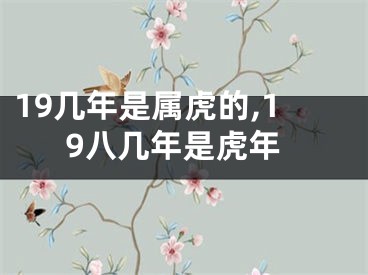 19几年是属虎的,19八几年是虎年