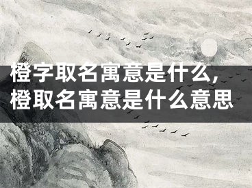橙字取名寓意是什么,橙取名寓意是什么意思