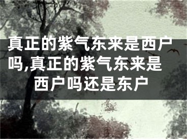真正的紫气东来是西户吗,真正的紫气东来是西户吗还是东户