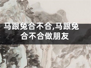 马跟兔合不合,马跟兔合不合做朋友