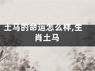 土马的命运怎么样,生肖土马