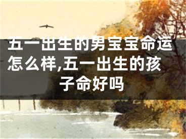 五一出生的男宝宝命运怎么样,五一出生的孩子命好吗
