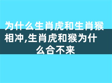 为什么生肖虎和生肖猴相冲,生肖虎和猴为什么合不来
