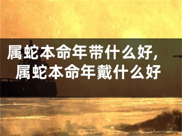 属蛇本命年带什么好,属蛇本命年戴什么好