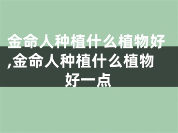 金命人种植什么植物好,金命人种植什么植物好一点