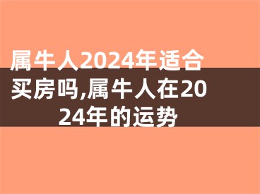 属牛人2024年适合买房吗,属牛人在2024年的运势