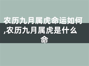 农历九月属虎命运如何,农历九月属虎是什么命