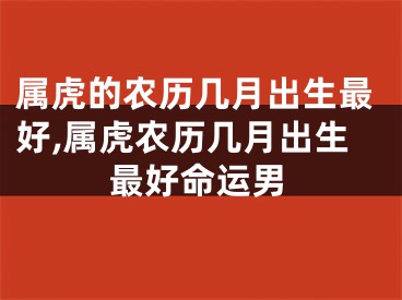 属虎的农历几月出生最好,属虎农历几月出生最好命运男
