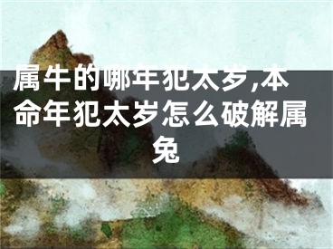 属牛的哪年犯太岁,本命年犯太岁怎么破解属兔