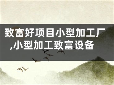 致富好项目小型加工厂,小型加工致富设备