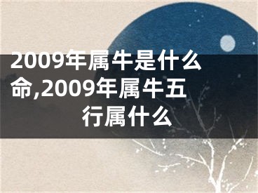 2009年属牛是什么命,2009年属牛五行属什么