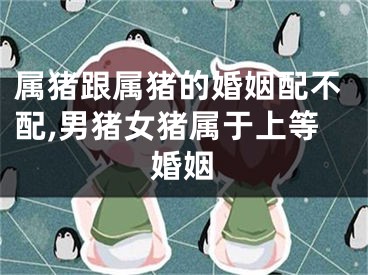 属猪跟属猪的婚姻配不配,男猪女猪属于上等婚姻