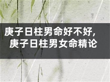 庚子日柱男命好不好,庚子日柱男女命精论