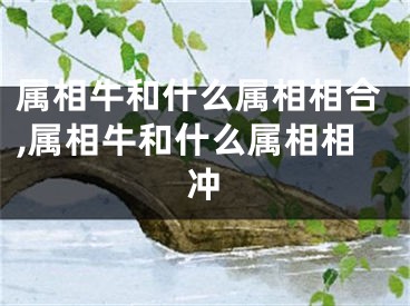 属相牛和什么属相相合,属相牛和什么属相相冲