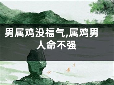 男属鸡没福气,属鸡男人命不强