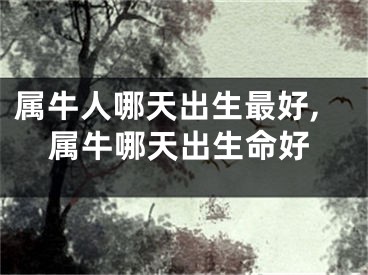 属牛人哪天出生最好,属牛哪天出生命好
