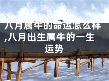 八月属牛的命运怎么样,八月出生属牛的一生运势