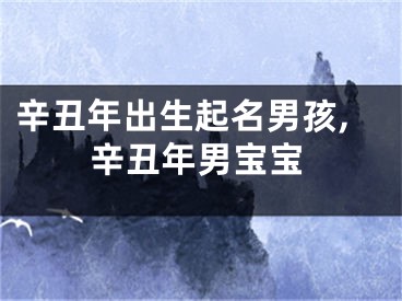 辛丑年出生起名男孩,辛丑年男宝宝