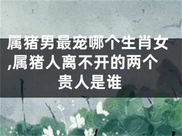 属猪男最宠哪个生肖女,属猪人离不开的两个贵人是谁