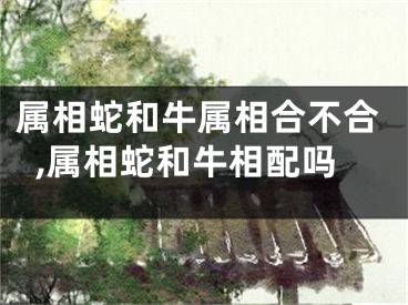 属相蛇和牛属相合不合,属相蛇和牛相配吗