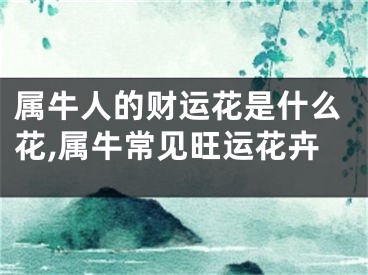 属牛人的财运花是什么花,属牛常见旺运花卉
