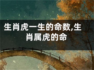 生肖虎一生的命数,生肖属虎的命