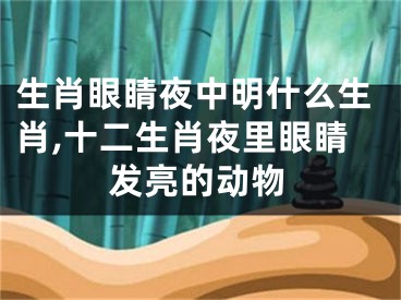 生肖眼睛夜中明什么生肖,十二生肖夜里眼睛发亮的动物