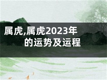 属虎,属虎2023年的运势及运程