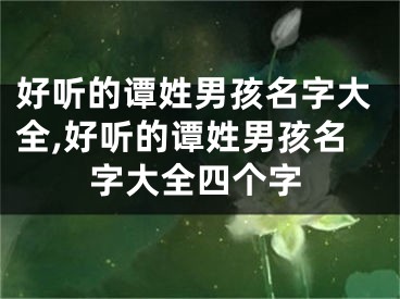好听的谭姓男孩名字大全,好听的谭姓男孩名字大全四个字