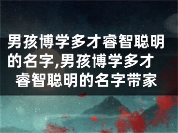 男孩博学多才睿智聪明的名字,男孩博学多才睿智聪明的名字带家