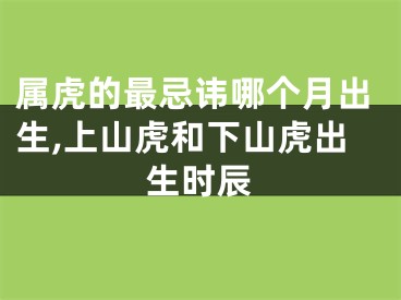 属虎的最忌讳哪个月出生,上山虎和下山虎出生时辰