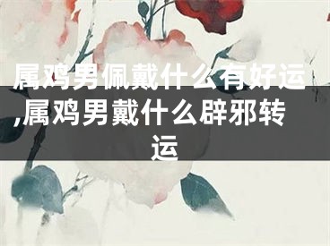 属鸡男佩戴什么有好运,属鸡男戴什么辟邪转运