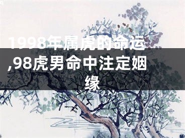1998年属虎的命运,98虎男命中注定姻缘