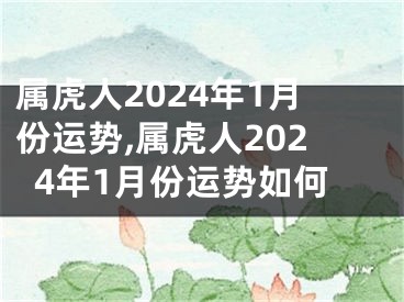 属虎人2024年1月份运势,属虎人2024年1月份运势如何