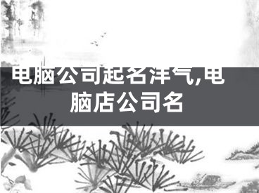 电脑公司起名洋气,电脑店公司名
