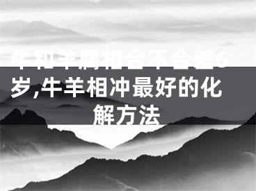 牛和羊属相合不合差6岁,牛羊相冲最好的化解方法