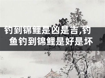 钓到锦鲤是凶是吉,钓鱼钓到锦鲤是好是坏