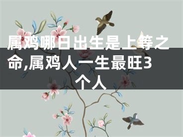 属鸡哪日出生是上等之命,属鸡人一生最旺3个人