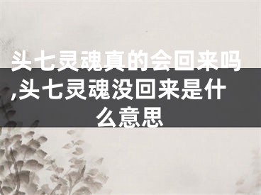 头七灵魂真的会回来吗,头七灵魂没回来是什么意思