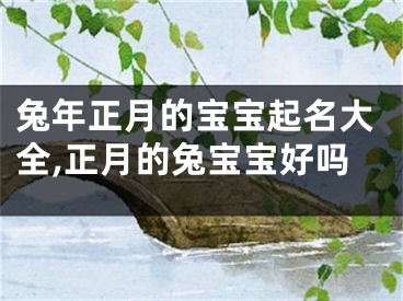 兔年正月的宝宝起名大全,正月的兔宝宝好吗
