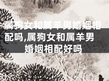 属狗女和属羊男婚姻相配吗,属狗女和属羊男婚姻相配好吗