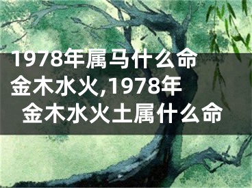 1978年属马什么命金木水火,1978年金木水火土属什么命