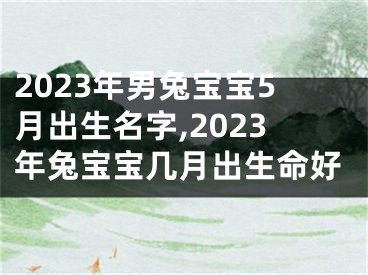 2023年男兔宝宝5月出生名字,2023年兔宝宝几月出生命好