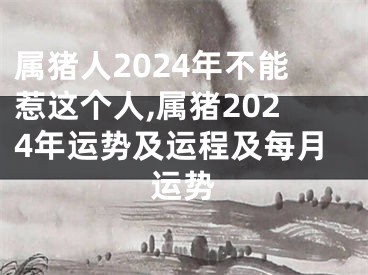属猪人2024年不能惹这个人,属猪2024年运势及运程及每月运势