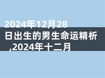 2024年12月28日出生的男生命运精析,2024年十二月